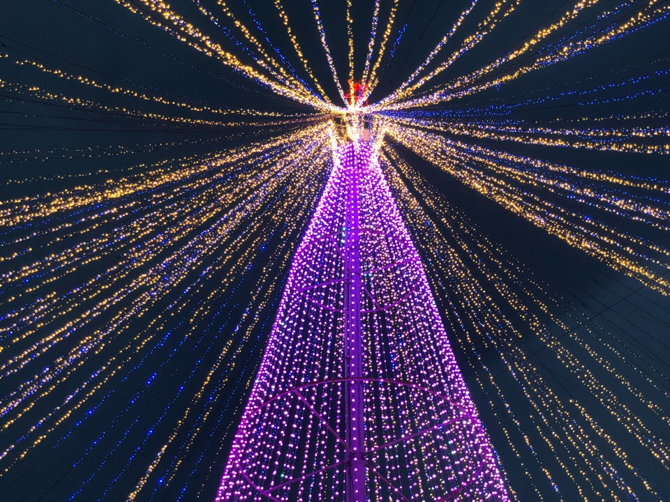 ハウステンボス光の王国2018の光の天空ツリー