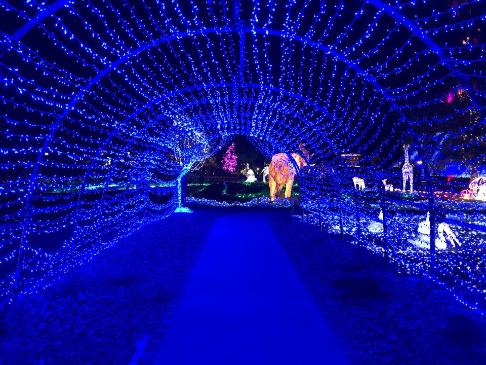 ハウステンボス光の王国2018の光のどうぶつえん