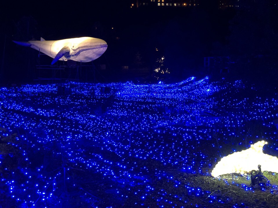 ハウステンボス光の王国2018の光のどうぶつえん