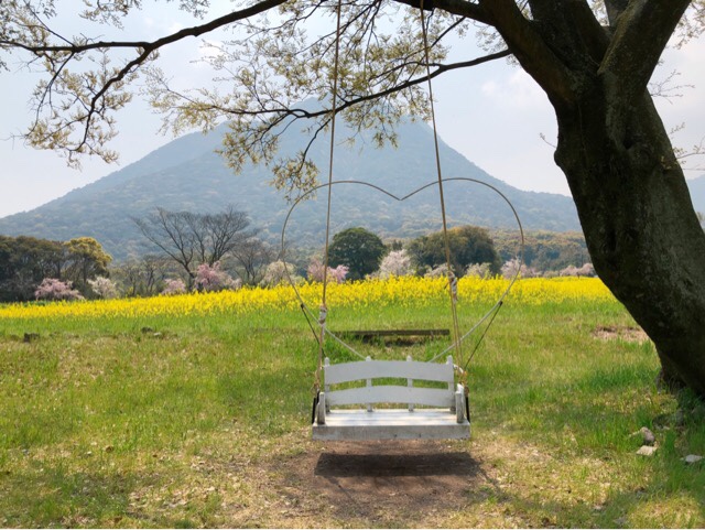 春の花まつりにはまさかのブランコもあったよ
