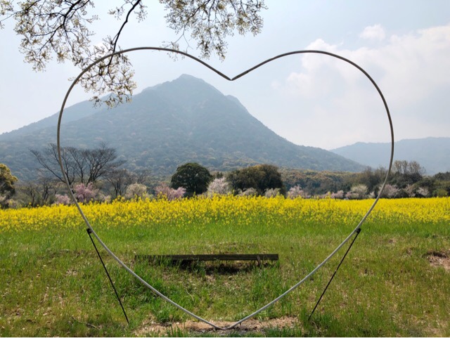 春の花まつりの写真スポットは沢山ある