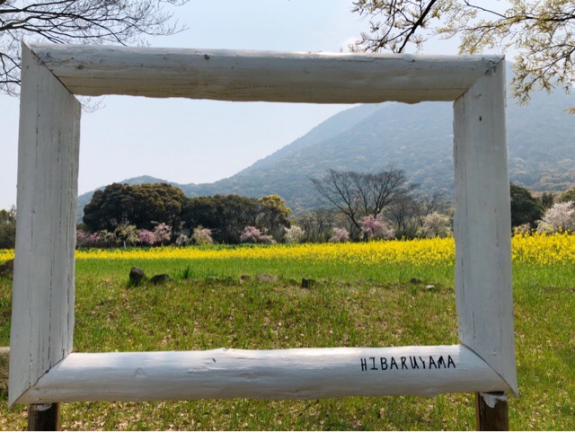 春の花まつりの写真スポットは沢山ある