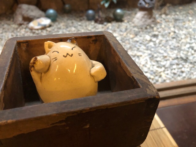 蕎家店内のお庭の近くにいる猫ちゃん