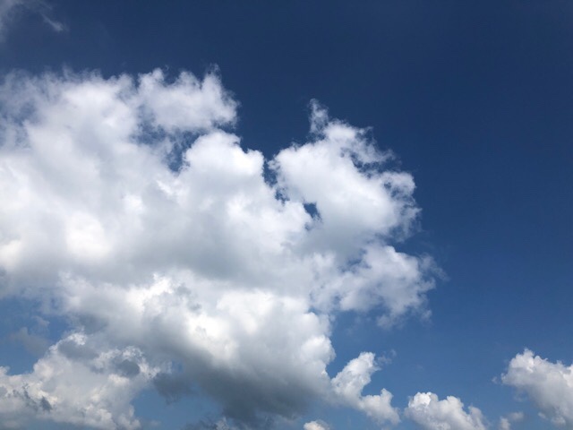 自然いっぱいの船番所