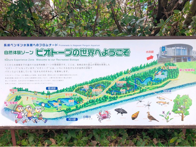 ペンギン水族館のビオトープ