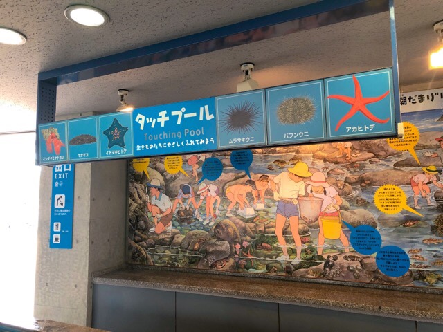 1階のタッチプール