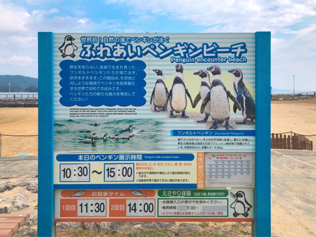 ペンギン水族館の外にはふれあいペンギンビーチがある