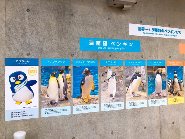 ペンギン水族館にいる9種類のペンギン
