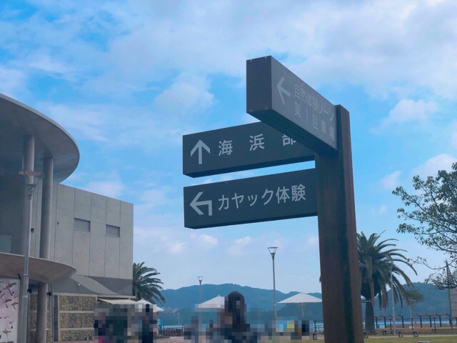 ペンギン水族館のカヤック体験