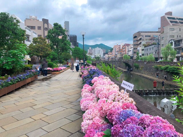 ながさき紫陽花まつり
